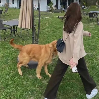 德黑兰第三季